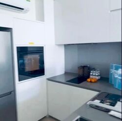 Amber Park (D15), Condominium #567736881